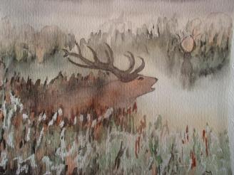 Cerf1