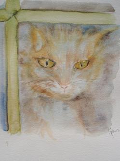 Chat