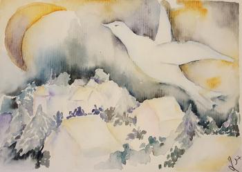 Colombe