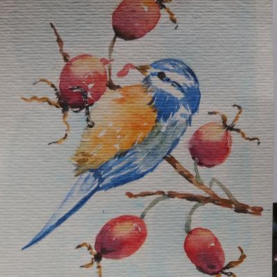 Oiseau mars