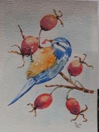 Oiseau mars