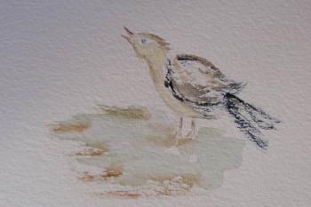 Oiseau