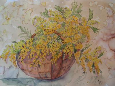 Panier de mimosas