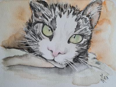 Chat 1