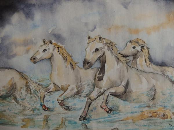 Cheval blanc