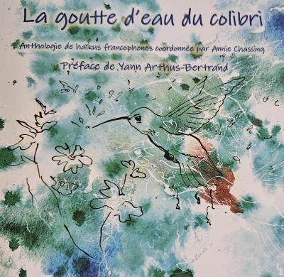 Colibri