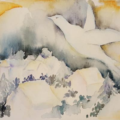 Colombe