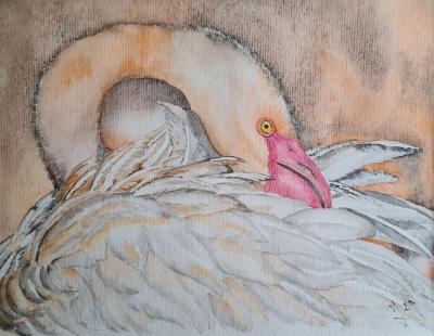 Cygne