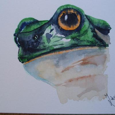 Grenouille