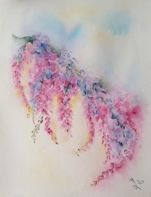Nuage glycine