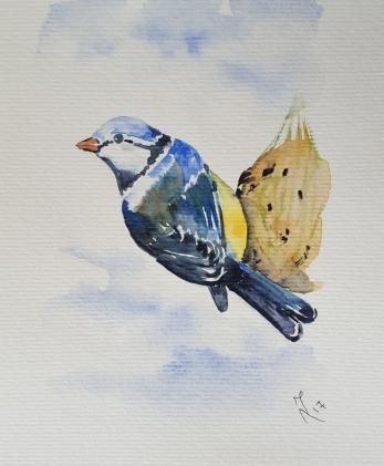 Oiseau 3
