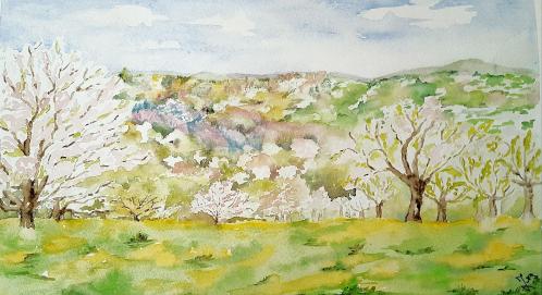 Printemps 3